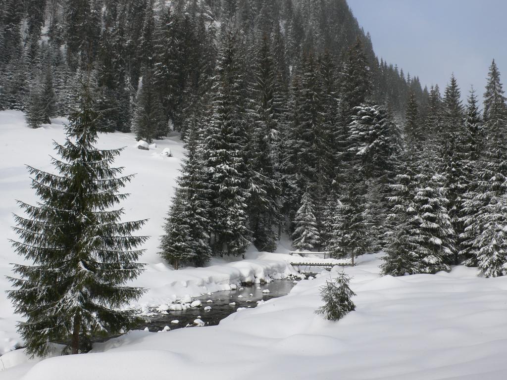 Arnica Montana Hotel อาริเอเชนิ ภายนอก รูปภาพ