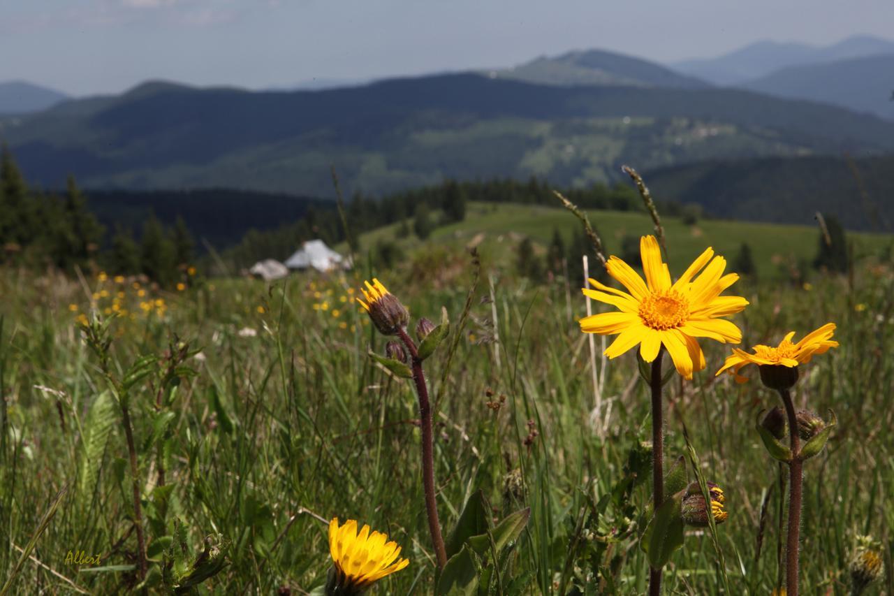 Arnica Montana Hotel อาริเอเชนิ ภายนอก รูปภาพ