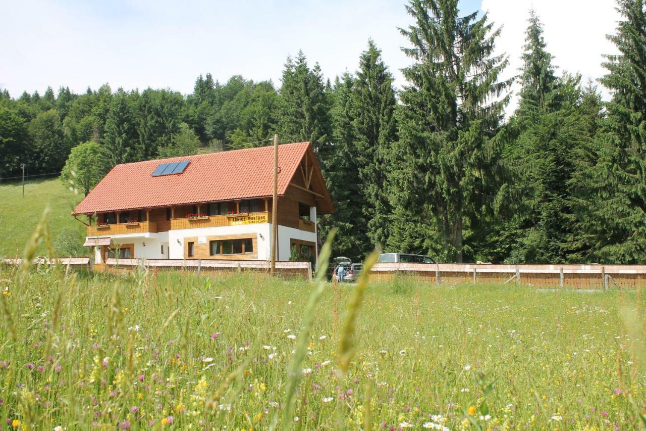 Arnica Montana Hotel อาริเอเชนิ ภายนอก รูปภาพ