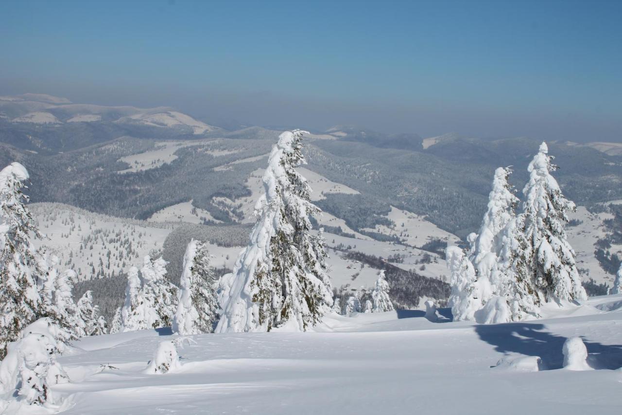 Arnica Montana Hotel อาริเอเชนิ ภายนอก รูปภาพ