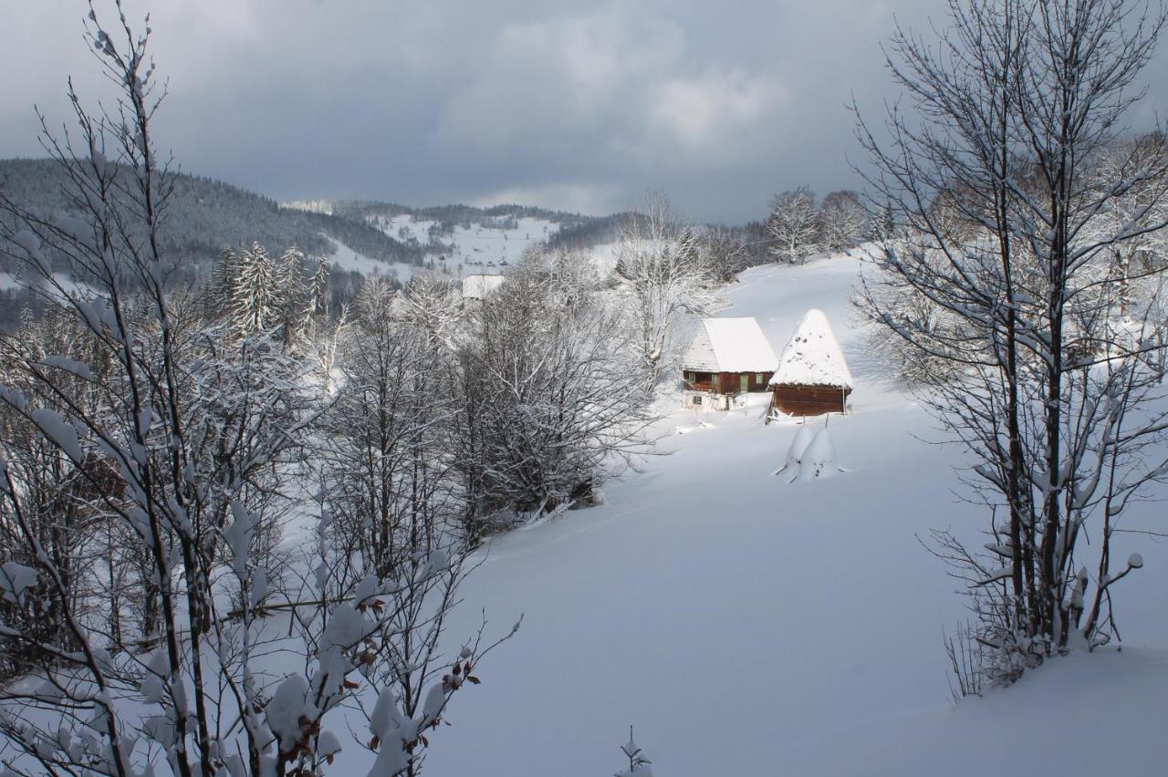Arnica Montana Hotel อาริเอเชนิ ภายนอก รูปภาพ
