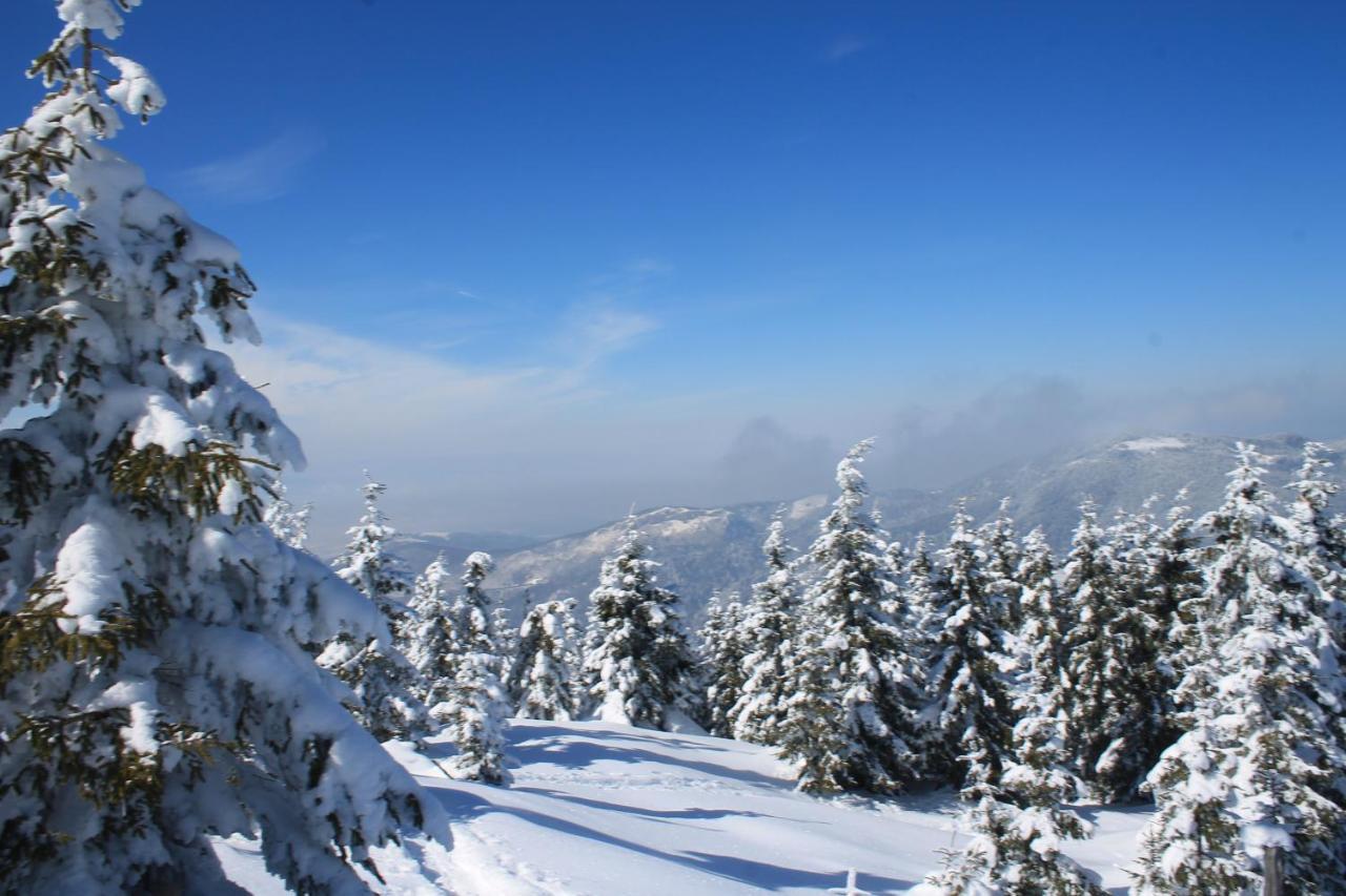 Arnica Montana Hotel อาริเอเชนิ ภายนอก รูปภาพ